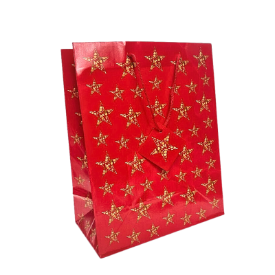 Kalėdinis maišelis dovanoms (33*26,5*13,7 cm) 7