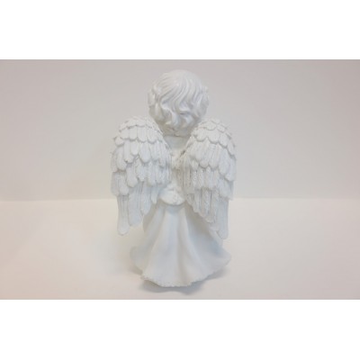 Angelas 5