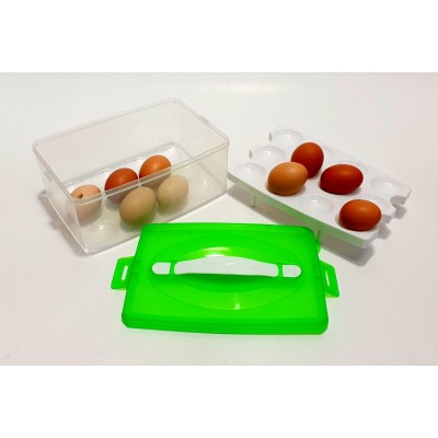 Dėžutė kiaušiniams (23x16) 3