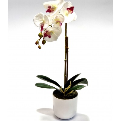 Gėlė orchidėja (44 cm) 1