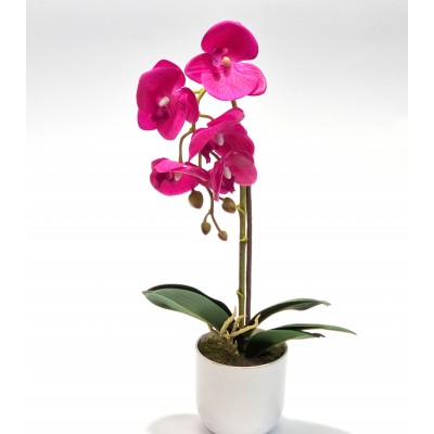 Gėlė orchidėja (44 cm) 2