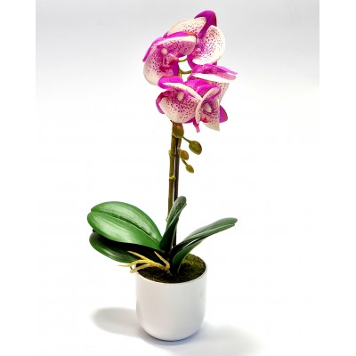 Gėlė orchidėja (44 cm) 4