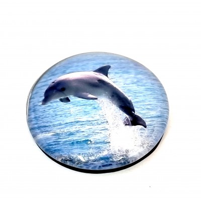 Magnetukas delfinai (5cm) 2