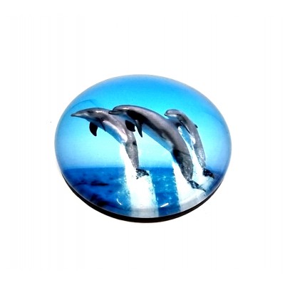 Magnetukas delfinai (5cm) 4