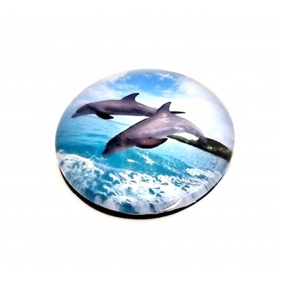 Magnetukas delfinai (5cm) 6