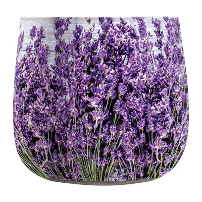 Žvakė aromatinė Bispol Lavender (20val) 2