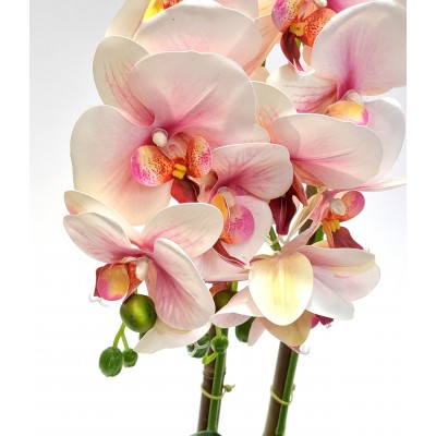 Gėlė orchidėja (50 cm) 2