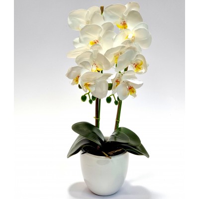 Gėlė orchidėja (50 cm) 5