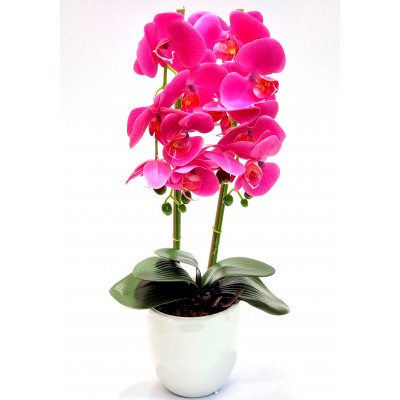 Gėlė orchidėja (50 cm) 9