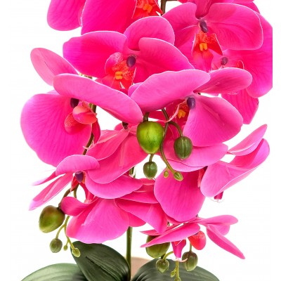 Gėlė orchidėja (55 cm) 2