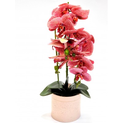 Gėlė orchidėja (55 cm) 3