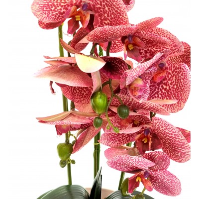 Gėlė orchidėja (55 cm) 4