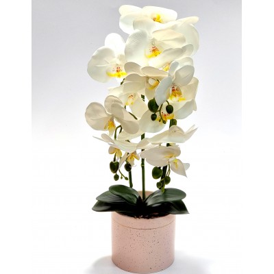 Gėlė orchidėja (55 cm) 5