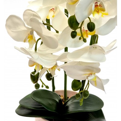 Gėlė orchidėja (55 cm) 6