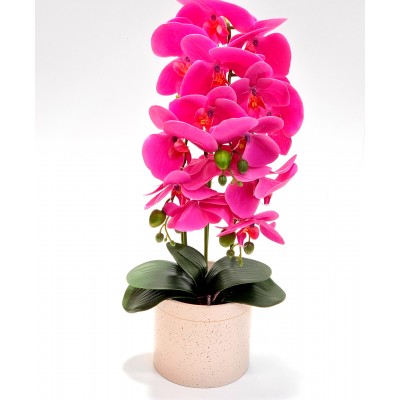 Gėlė orchidėja (55 cm) 7