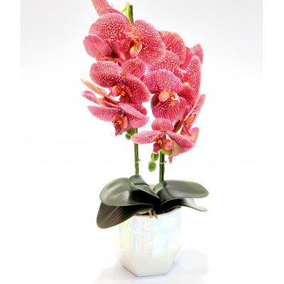 Gėlė orchidėja (50 cm) 3