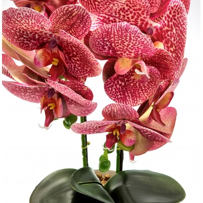 Gėlė orchidėja (50 cm) 4