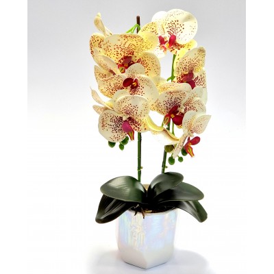 Gėlė orchidėja (50 cm) 5
