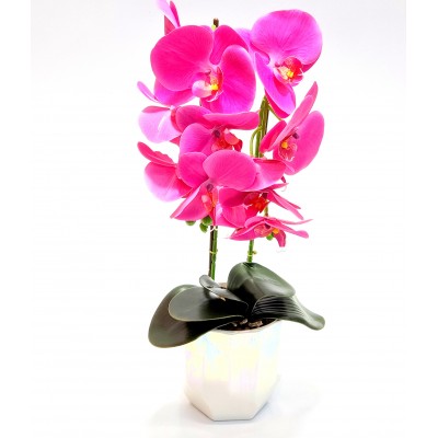 Gėlė orchidėja (50 cm) 7