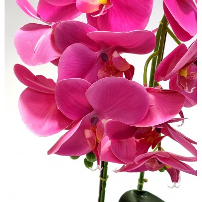 Gėlė orchidėja (50 cm) 8