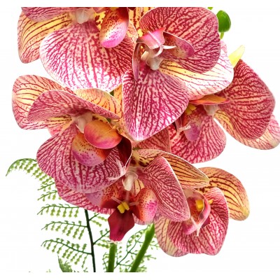 Gėlė orchidėja (37 cm) 2