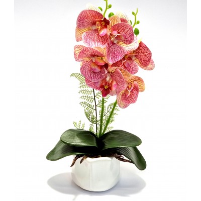 Gėlė orchidėja (37 cm) 3