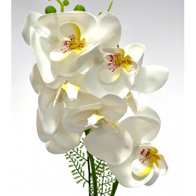 Gėlė orchidėja (37 cm) 4