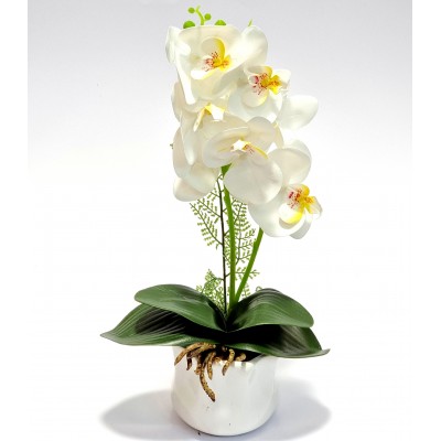 Gėlė orchidėja (37 cm) 5
