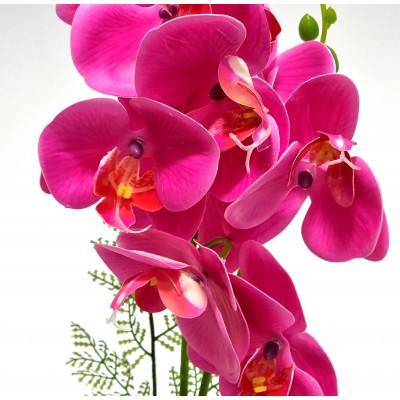 Gėlė orchidėja (37 cm) 6