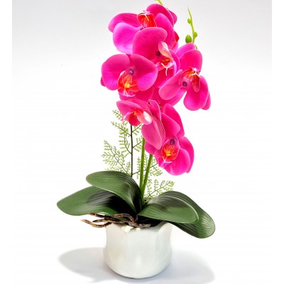 Gėlė orchidėja (37 cm) 7