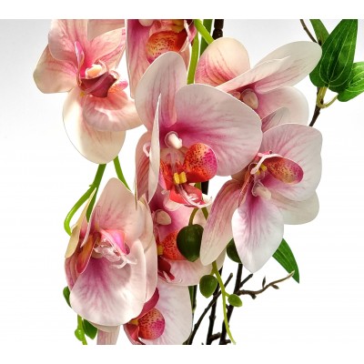 Gėlė orchidėja (45 cm) 4