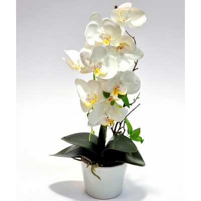 Gėlė orchidėja (45 cm) 7