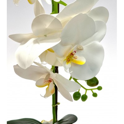 Gėlė orchidėja (50 cm) 2