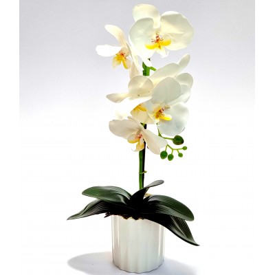 Gėlė orchidėja (50 cm) 3