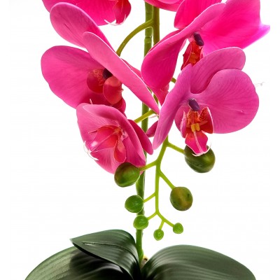 Gėlė orchidėja (50 cm) 4