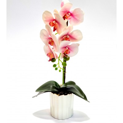 Gėlė orchidėja (50 cm) 7