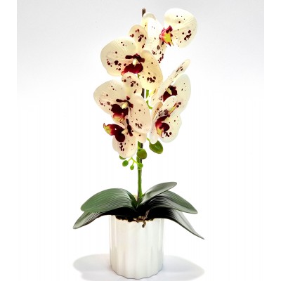 Gėlė orchidėja (50 cm) 9
