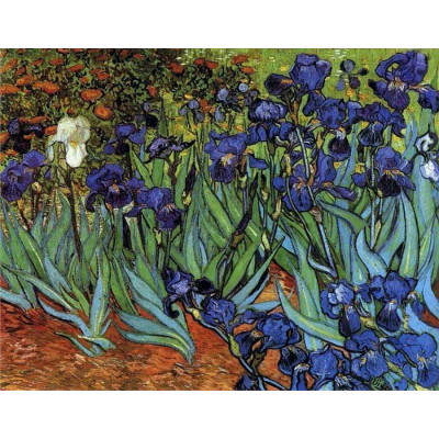 Puodelių rinkinys 2asm Carmani Vincent Van Gogh (280ml) 4