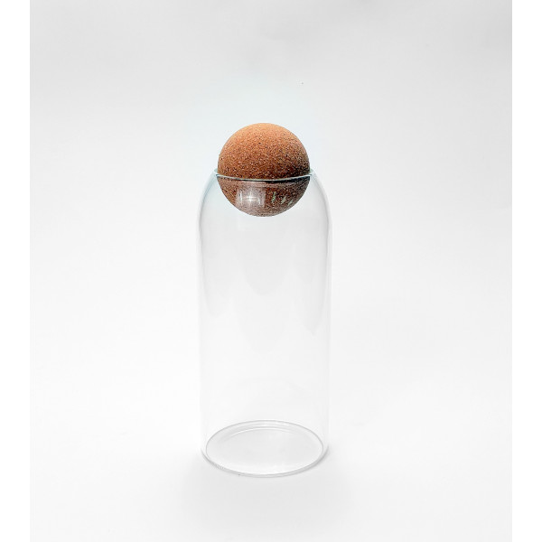 Stiklinis indas su kamščiu (1L)