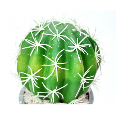 Dirbtinė gėlė kaktusas (D9 H17 cm) 2