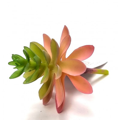 Dirbtinė gėlė sukulentas (D6 H8.5cm) 3