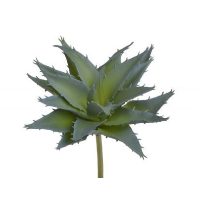 Dirbtinė gėlė agava (D13 H14cm) 3