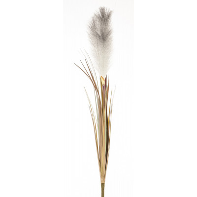Dirbtinė gėlė žolė miskantas (D20 H76cm) 4