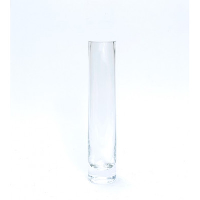 Vaza stiklinė (D5 H24cm) 1