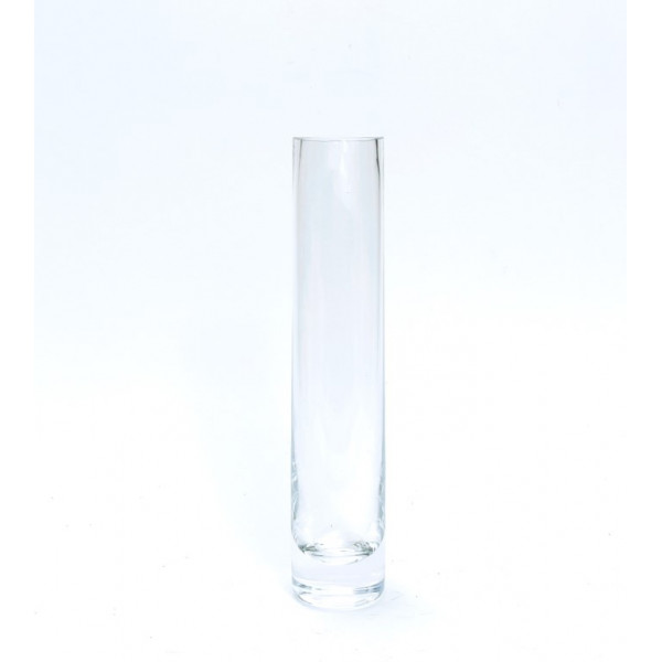 Vaza stiklinė (D5 H24cm)