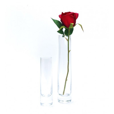 Vaza stiklinė (D5 H24cm) 4