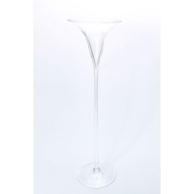 Vaza stiklinė (D17 H60cm) 1
