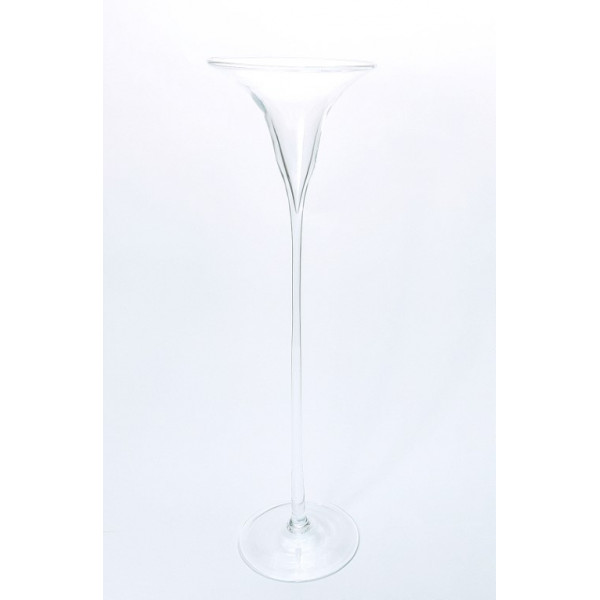 Vaza stiklinė (D17 H60cm)