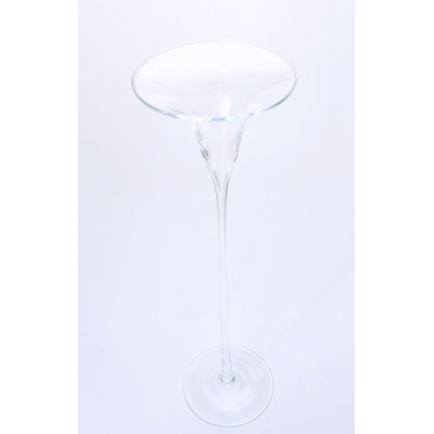 Vaza stiklinė (D17 H60cm) 2