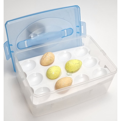 Dėžutė kiaušiniams (23x16) 1